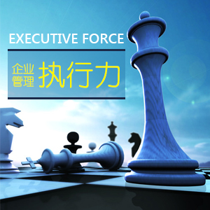 打造高效执行力团队