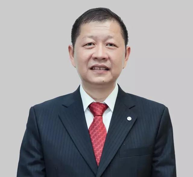 杨青 杨青